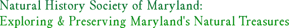 Natural History Society of Maryland:
Exploring & Preserving Maryland's Natural Treasures